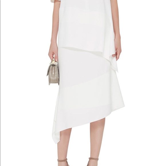 Joseph Leo Asymmetrical Skirt 36 - Picture 2 of 7